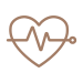 Medical-Branches@2X-pilz3b7mss009u23gn76dia44vfhxjizdj9rh8yi0e (1)